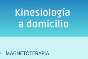 Profesionales Sin datos  Profesionales